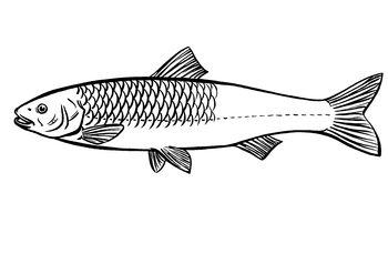 DÖbel